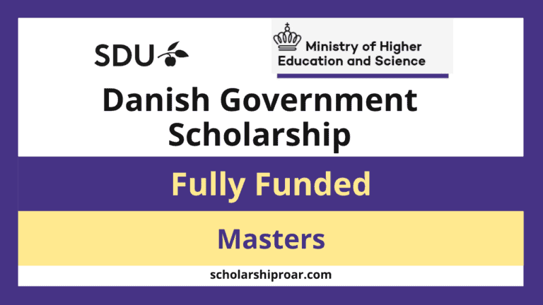 Danish Government Scholarship 2024 (Fully Funded)