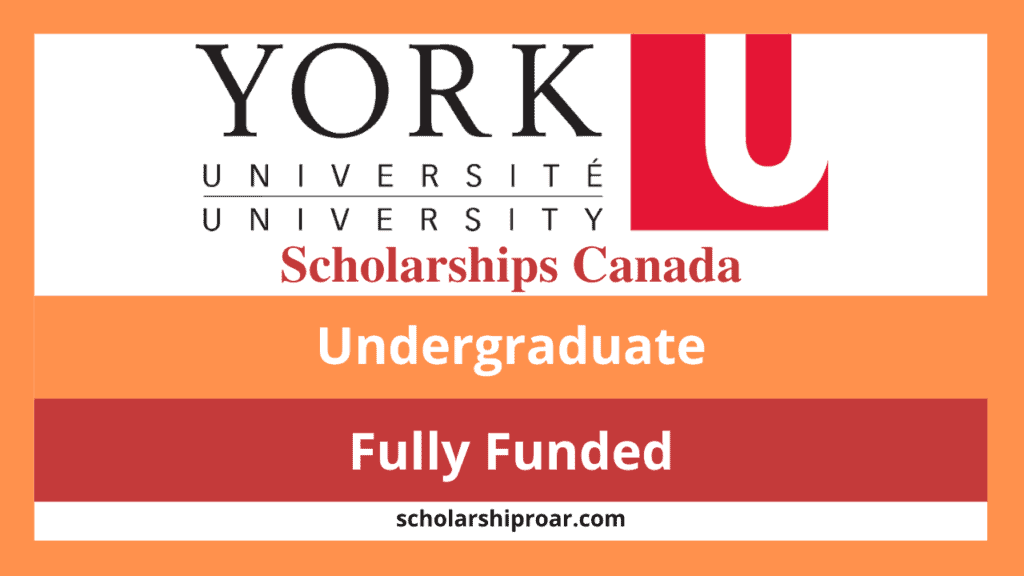 York University Scholarships 
