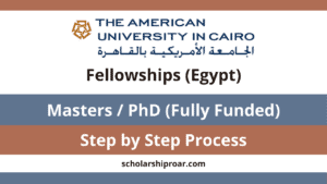 The American University in Cairo Fellowships