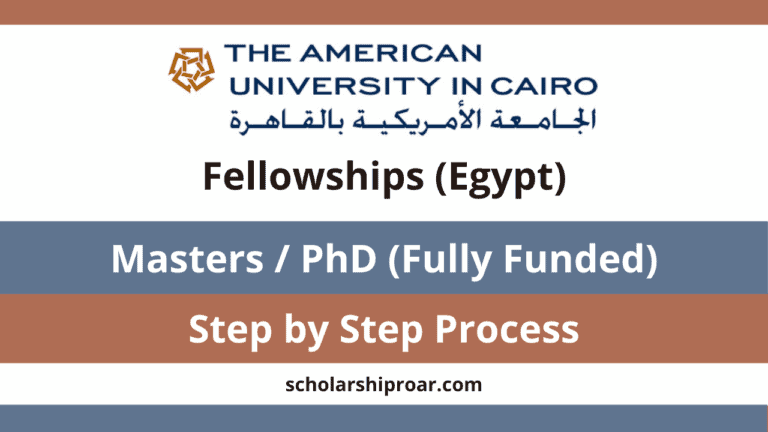 The American University in Cairo Fellowships 2024