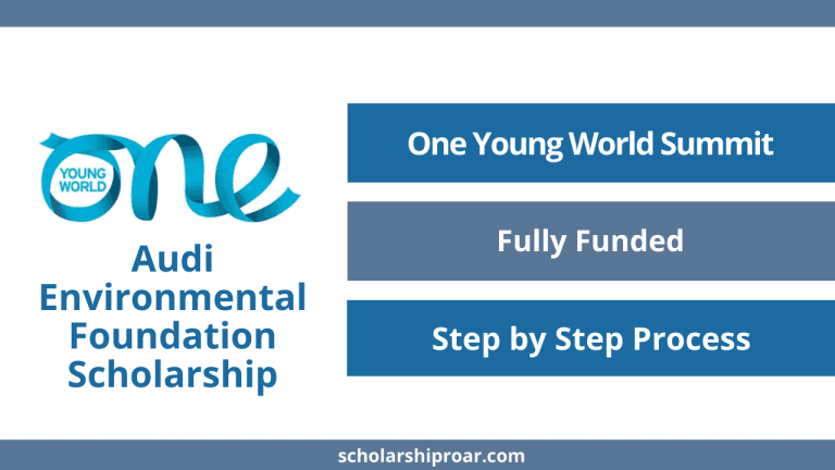 Audi Environmental Foundation Scholarship 2024