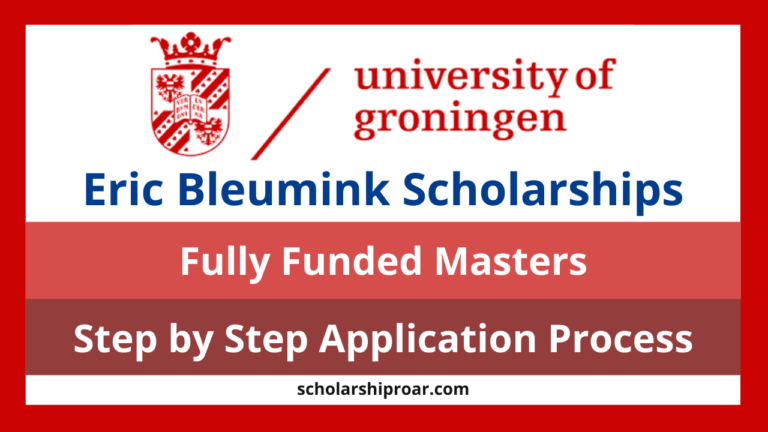 Eric Bleumink Scholarships at University of Groningen 2024