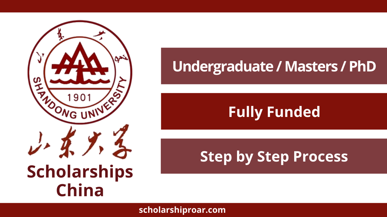 Shandong University Scholarship
