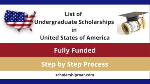 USA undergraduate Scholarship