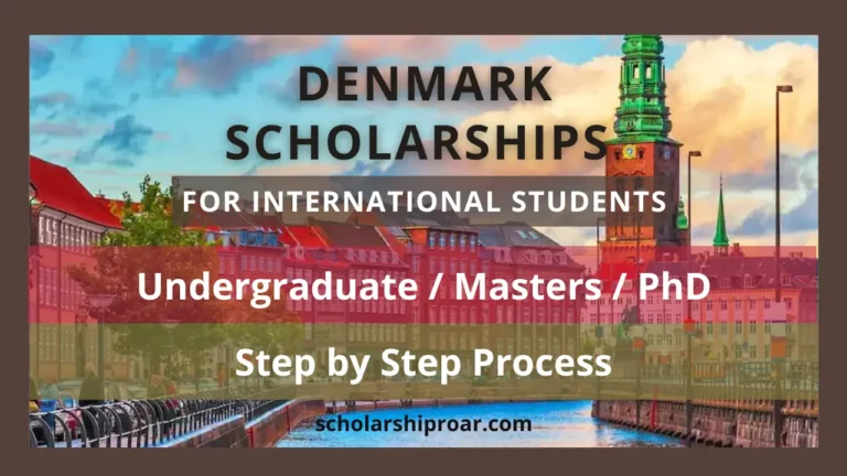 Scholarships in Denmark for International Students 2024