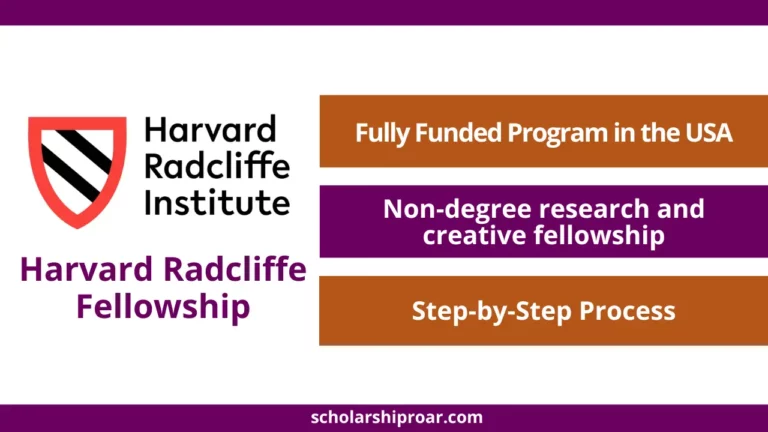 Harvard Radcliffe Fellowship in the USA